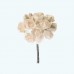 paper flower size: 1.75" Diameter
paper flower size: 1.75" Diameter